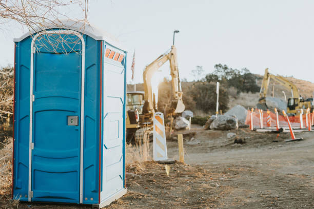 Best Local porta potty services  in Stony Point, MI