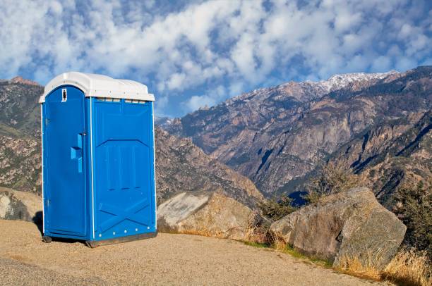 Best Affordable porta potty rental  in Stony Point, MI