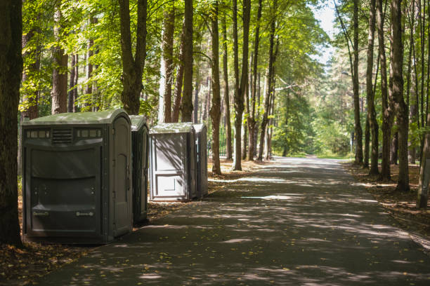 Best Portable bathroom rental  in Stony Point, MI